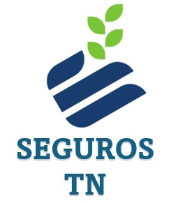 SEGUROS TN